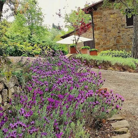 Villa Toscana Il Capiteto *
