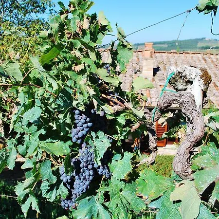 Toscana Il Capiteto